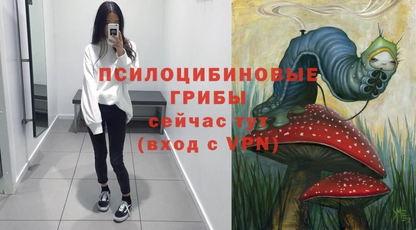 дмт Алзамай