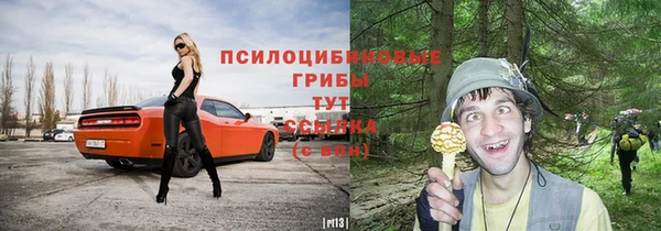 дмт Алзамай