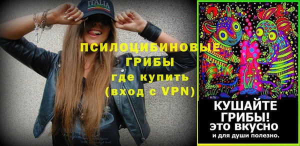 дмт Алзамай